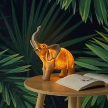 Load image into Gallery viewer, NIGHT LIGHT – ELEPHANT