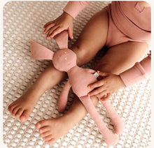 Load image into Gallery viewer, Organic Snuggle Bunny - Rose
