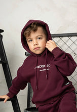 Load image into Gallery viewer, Cody Essential Hoodie plum
