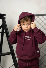 Load image into Gallery viewer, Cody Essential Hoodie plum
