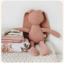 Load image into Gallery viewer, Organic Snuggle Bunny - Rose
